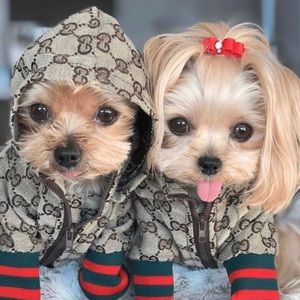 Poochie GG Luxurious Dog JacketPucci Dog Jacket